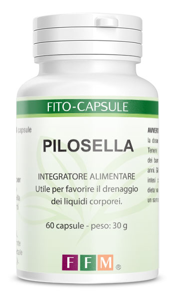 fitocapsule_pilosella