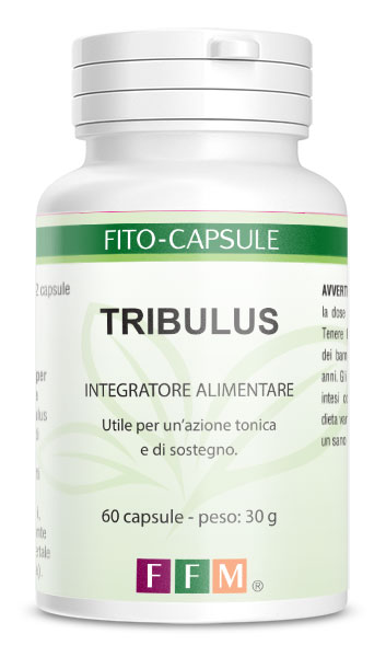 fitocapsule_tribulus